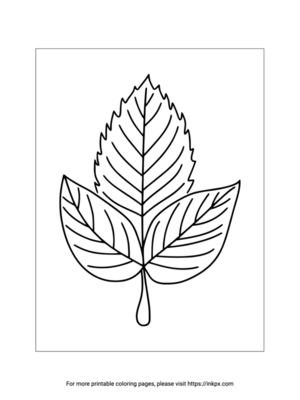 Printable Autumn Leaf Coloring Page